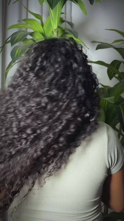 Island Curly